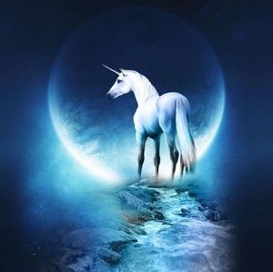 Meet your Posher, Wanda